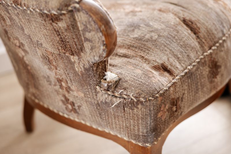 Damaged Upholstery